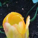 ���� Valery, �������, 79 ��� - ��������� 27 ���� 2016 � ������ ���� ����������