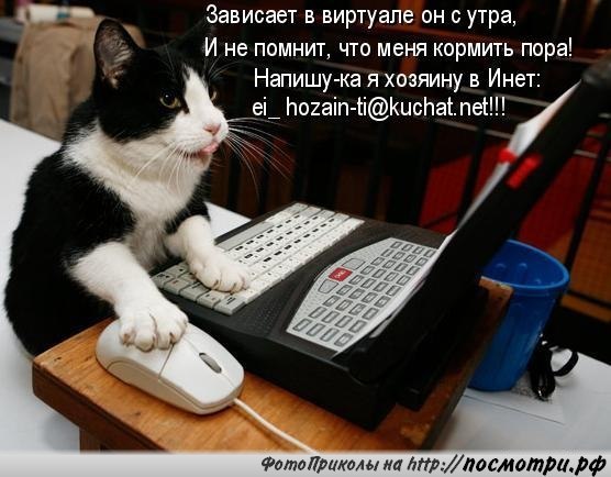 Без кота и жизнь не та - 14 марта 2016 в 06:31