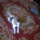 ���� �������, ������, 68 ��� - ��������� 27 ����� 2016 � ������ ���� ���� ������