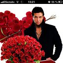 ���� ��������� ���������, �����������, 62 ���� - ��������� 5 �������� 2016 � ������ ���� ����������