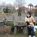 ������ ������� �� ������� ���� ����������