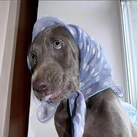 ������������, � ��������� ������... � �� �� �������� ��� ��������? ���? �� ����� ����� ������ ...