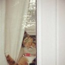 ���� ����, ����, 60 ��� - ��������� 22 ��� 2016 � ������ ���� ����������