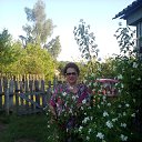  ,  , 76  -  20  2016