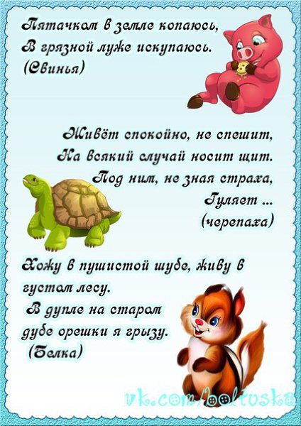 Загадки по теме