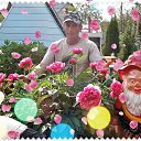 ���� ������, ����� - ��������� 3 ���� 2016 � ������ ���� ����������