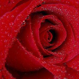 ���� Anita, ������ - ��������� 10 ������ 2016