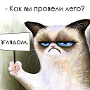 ���� ������, ������ - ��������� 21 ������� 2016 � ������ ���� ����������