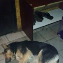 ���� ����, ���, 58 ��� - ��������� 16 ����� 2016 � ������ ���� ����...�� ������ �������