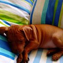 ���� �������, �����-���������, 62 ���� - ��������� 17 ��� 2016 � ������ ������ ��������