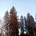 ���� �������, �����-��������� - ��������� 5 ��� 2016 � ������ ���� ����������