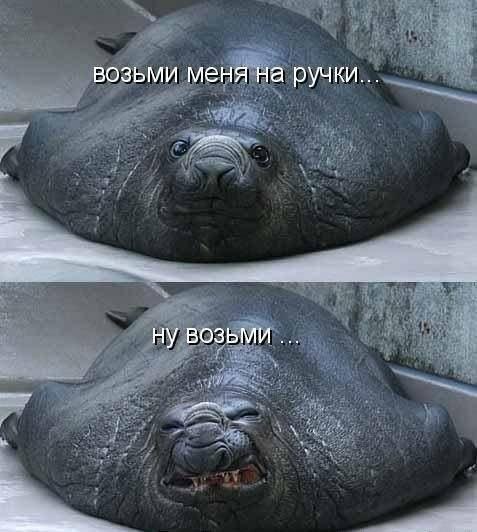 ������� - 10 ����� 2016 � 22:03