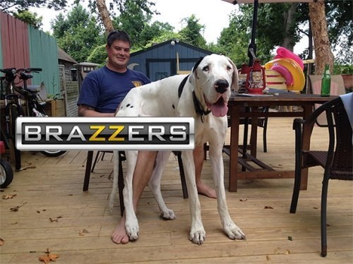   Brazzers     - 3