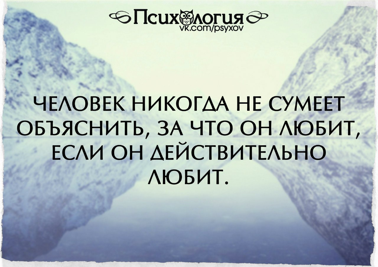 Есть категория людей. Цитаты про подарки. Цветы без повода цитаты. Христианская мотивация. Сюрприз высказывания.