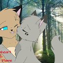 ���� ���, ������� - ��������� 31 ��� 2016 � ������ ������ ��������