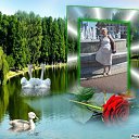 ���� ���, ����������� - ��������� 22 ���� 2016 � ������ �߻