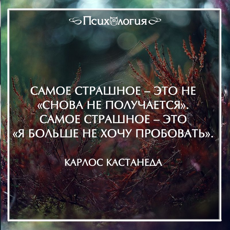 Что очень помогает. Афоризмы психология. Умные высказывания. Цитаты из жизни. Умные цитаты.