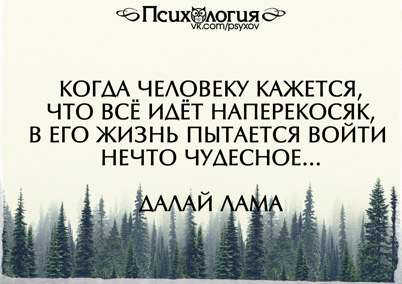  - 15  2016  12:32
