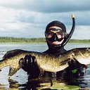 ���� Vjacek, ����������, 62 ���� - ��������� 5 �������� 2016 � ������ ���� ����������