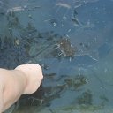 ���� Mihail, ����, 63 ���� - ��������� 23 ����� 2016 � ������ ���� ����������