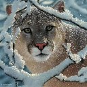 ���� ������, ��������� - ��������� 15 ���� 2016 � ������ ������ ��������