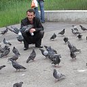  , -, 43  -  24  2016    