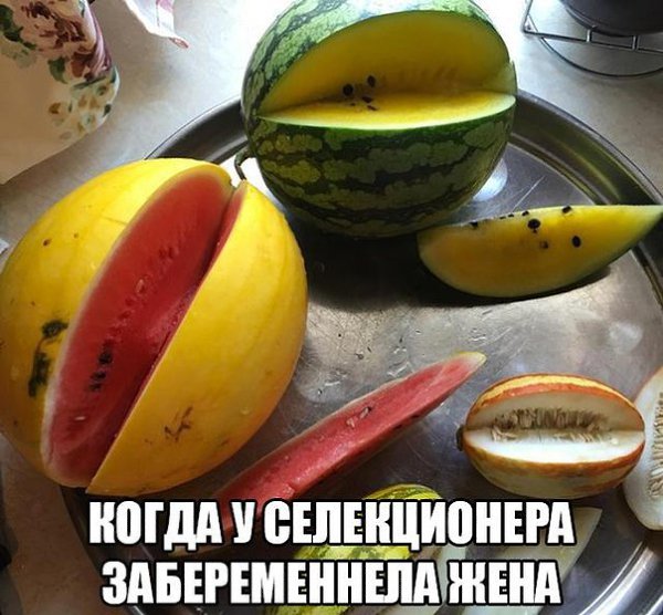 ��������� 18+ - 28 ���� 2016 � 01:39