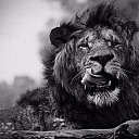 ���� �������, ��������, 46 ��� - ��������� 13 ������ 2016 � ������ ���� ����������