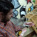  ˸ , , 41  -  19  2016    