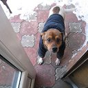 ���� �������, ������, 68 ��� - ��������� 27 ����� 2016 � ������ ���� ���� ������