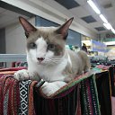 ������� �� ������� ��� ��� �����,�� �� ��� ������...�