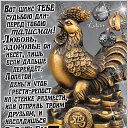  Nina Nikolaevna,  -  30  2016    