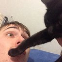 ���� �������, �����������, 39 ��� - ��������� 17 ������� 2017 � ������ ���� ����������