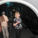 ���� �������, ������ - ��������� 12 ������� 2017 � ������ ���� ����������