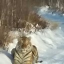 ��� ����� ��������� ����� � ����� ������! �� ������� ���� ����������