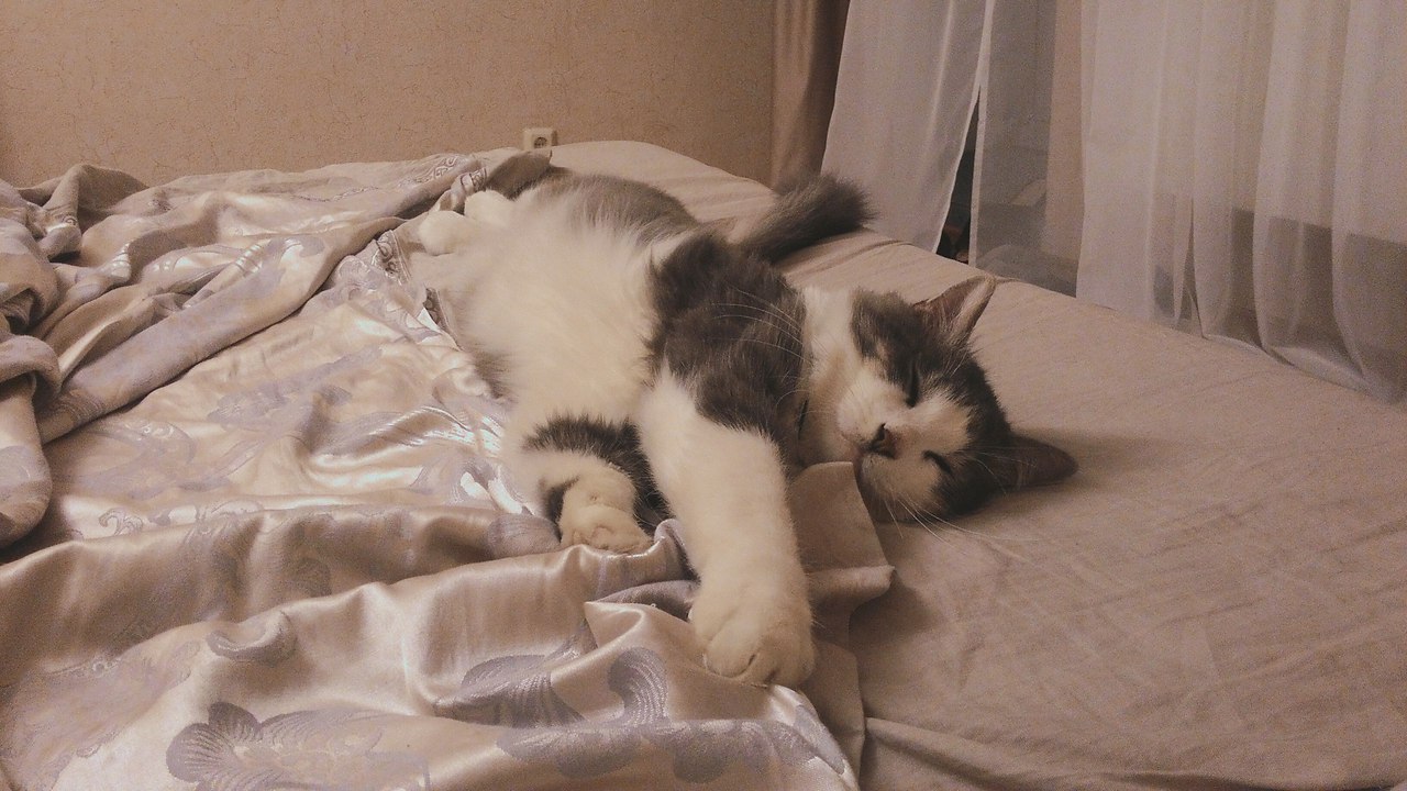 #_.  ,     -  1 -      ... - 6