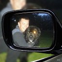 ���� ������, �����������, 43 ���� - ��������� 27 ������� 2016