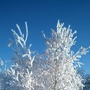 ���� @�)))), ���������, 42 ���� - ��������� 16 ������� 2017 � ������ ���� ����������