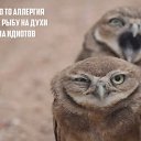 ���� ����, ���� - ��������� 8 ������ 2016 � ������ ������ ��������