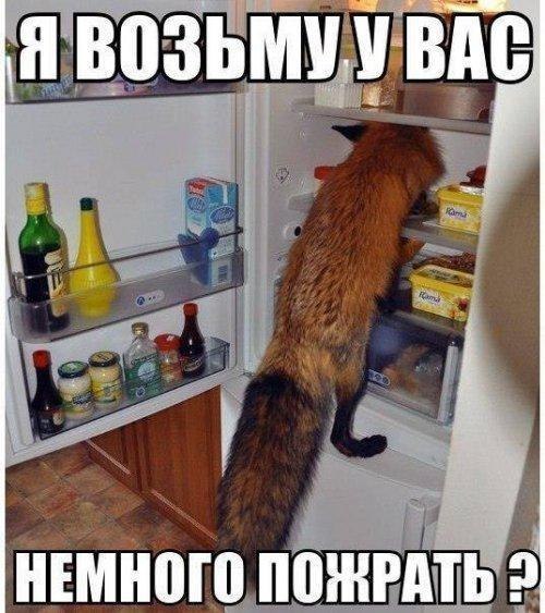 ������� ����� ����� :-) - 21 ����� 2017 � 01:30