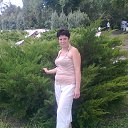 ���� ����, ��������������, 43 ���� - ��������� 2 ������ 2017 � ������ ���� ����������