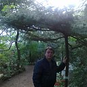 ���� �����, �����-���������, 62 ���� - ��������� 13 ������ 2016 � ������ ���� ����������