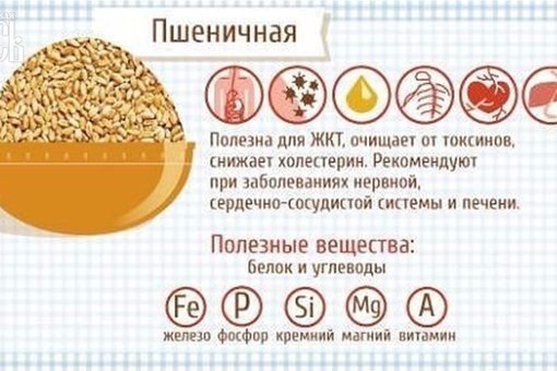 Полезные свойства каш - 3