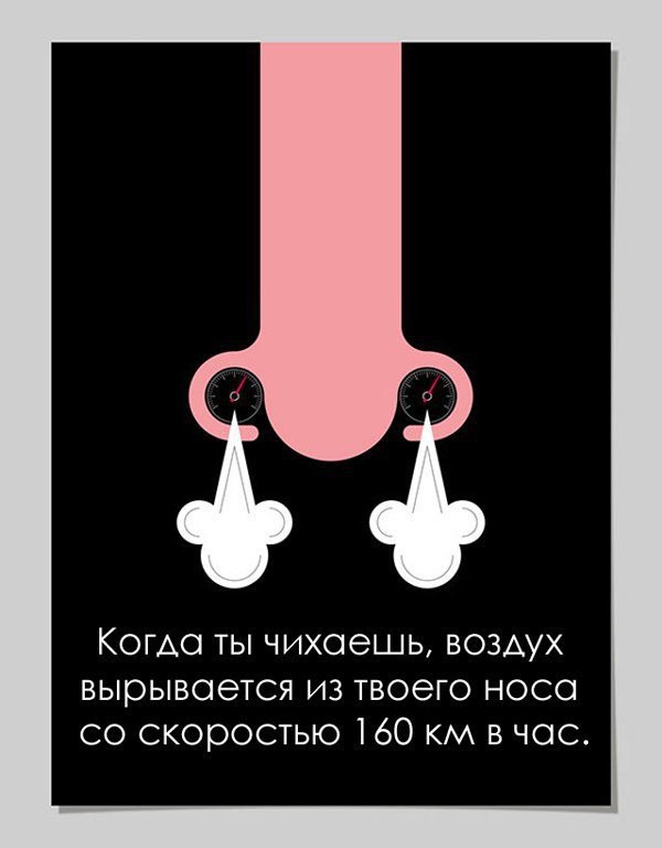 6     ,      ,   ! - 4