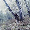 ���� ����, ��������, 52 ���� - ��������� 9 ������� 2016 � ������ ���� ����������