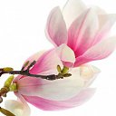 ���� �����, ���������, 44 ���� - ��������� 4 ����� 2017 � ������ ���� �������� ������