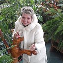 ���� ������, ������ - ��������� 5 ������ 2017 � ������ ���� ����������