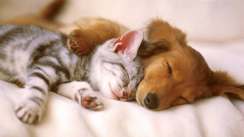  -,  https://fotostrana.ru/away?to=/sl/ysM2   ['nm()l] ant [nt] - ant   ...