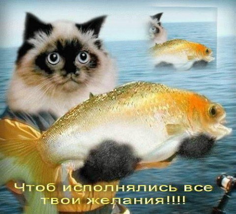 )))