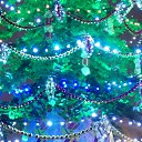 ���� Oleg, �����, 44 ���� - ��������� 4 ������ 2017
